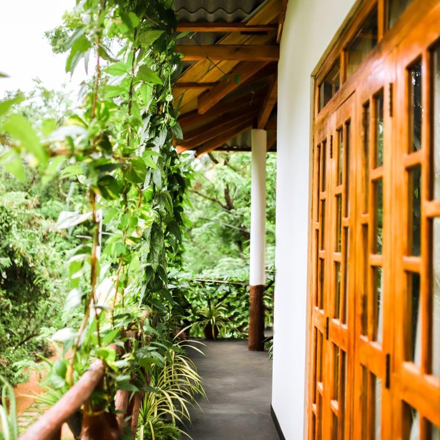 Aloe Vera Guest House Дамбулла Экстерьер фото